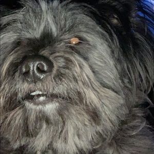 Meet your Posher, Gavin